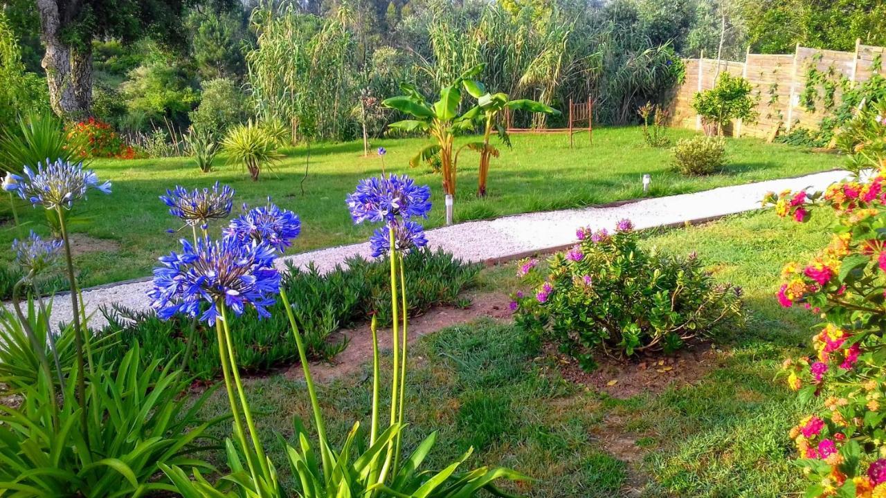 Casa Do Sobreiro 2 Bed and Breakfast Serra das Alhadas Eksteriør billede